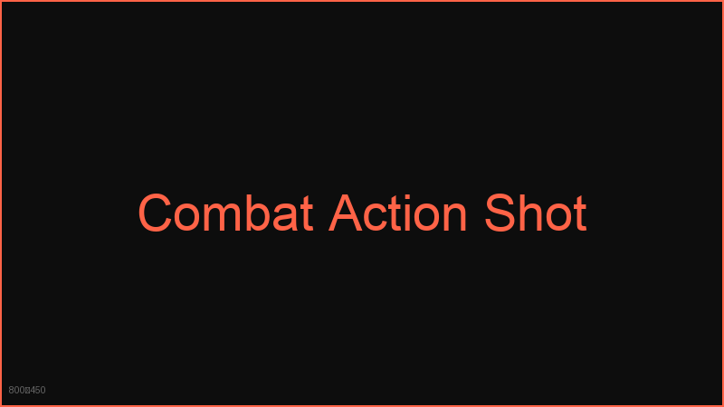 Combat Action Shot